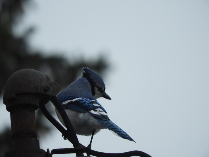 Dscn0108