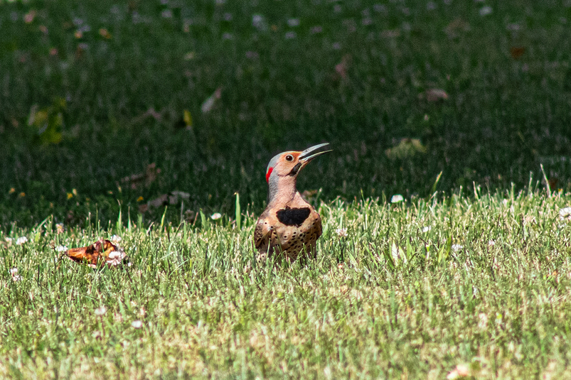 Img 0237 2
